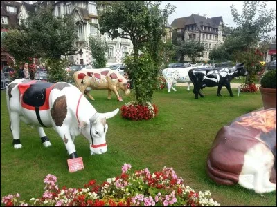 Drôles de stars à Deauville pendant le Festival du cinéma américain. La Cow Parade transhumance représentée par 47 sculptures de vaches en fibre de verre a investi les pelouses de l'hôtel Normandy. Mais que deviennent ces sculptures, une fois la tournée terminée ?