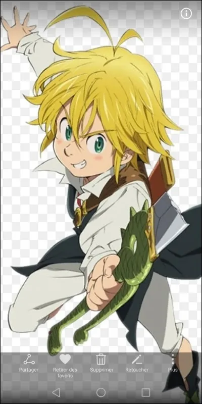 Qui a maudi Méliodas ?