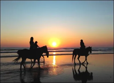 À cheval je monte toujours :