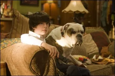 Quel est ce film ou cette série ?