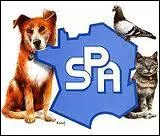 Quelqu'un qui maltraite ou abondonne un animal domestique risque jusqu' 2 annes de prison et 30 000 euros d'amende.