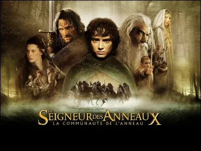 Quel acteur joue le rôle de "Frodon Sacquet" dans la trilogie "Le Seigneur des anneaux" ?