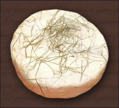 De quel département, Le Pithiviers au foin est-il originaire ?