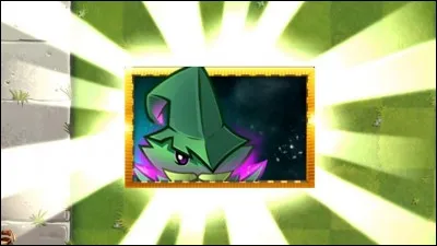 Combien y a-t-il de menthes survitaminées ?