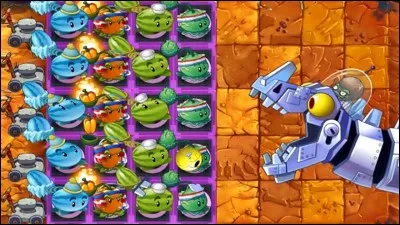 Quelles sont ces plantes ?