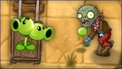 Quel est le costume du double pois ?