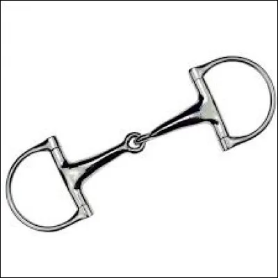 Comment s'appelle ce mors ?