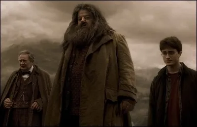 À quel moment Hagrid laisse-t-il Harry seul ?