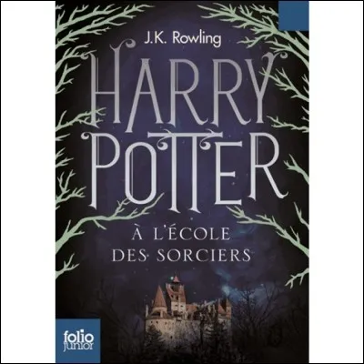 En quelle année "Harry Potter" est-il sorti en film ?