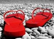 Quiz Culture gnrale, sur la plage !