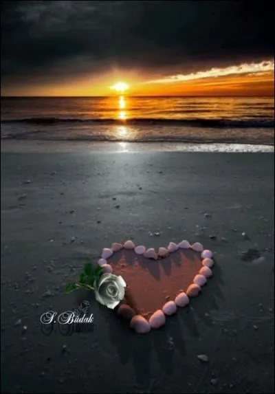 Qui chantait "L'Amour à la plage" ?