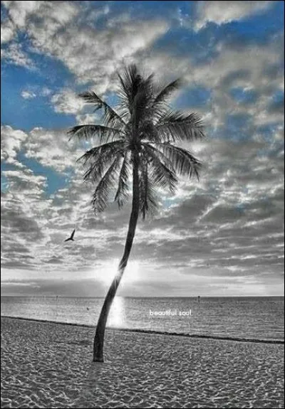 Dans le film de Lelouch, "L'Aventure, c'est l'Aventure", on se souvient de cette scène de plage avec Ventura, Brel, Aldo Maccione, Charles Dunner et Charles Gérard. Où est tournée cette scène ?