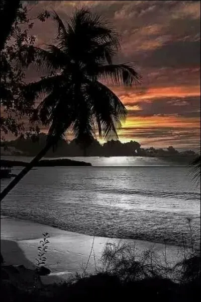 Où situez-vous la plage de Pampelonne ?