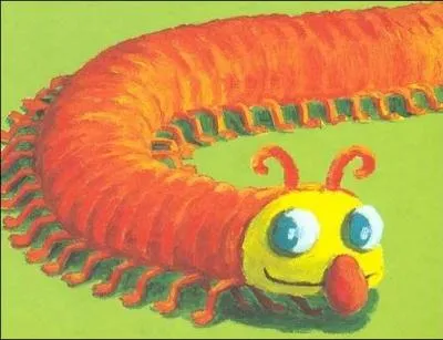 Quel drle de problme rencontre Pat le Mille-Pattes ?