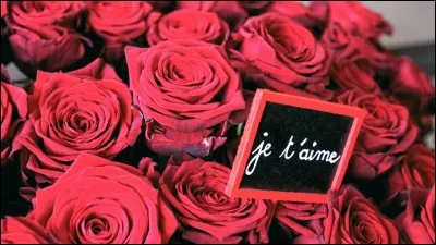 Pour la Saint-Valentin, il t'offre quoi le mec de tes rêves ?