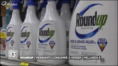 Aller à qui mieux ... !