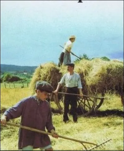 Quels oiseaux sont associés aux loups dans le premier tome de "La saga des Vialhe" de Claude Michelet?