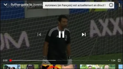 Quel est le nom de ce gardien ?