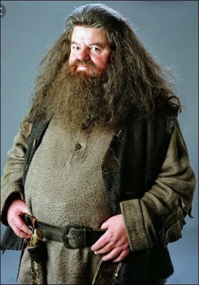 Comment Harry sait-il qu'il est un sorcier ? 
Grâce ...