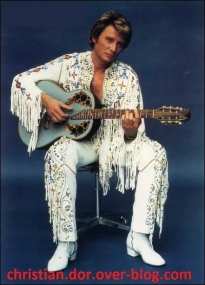 Johnny Hallyday a repris ''Old Time Rock and Roll'' pour en faire ''Le Bon Temps du rock and roll''. Qui n'est pas un pionnier de ce type de musique ?