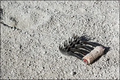 Comment s'appelle cet objet avec lequel les raseteurs enlèvent les attributs ?