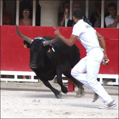 Comment appelle-t-on les hommes en blanc ?