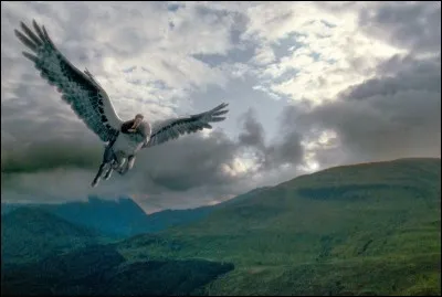 En troisième année Drago Malefoy se fait lacérer le bras par Buck l'hippogriffe. Quels sont les mots qu'il dit, blessé, à Hagrid quand il le ramène à l'école ?
(Dans le film)