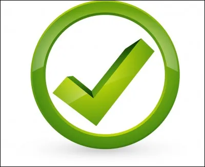 Quelle est ta plus grande qualité ?