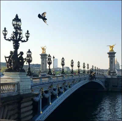 Dans quelle ville, le pont Alexandre III (1900) est-il sis ?