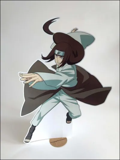 Qui est ce personnage ?