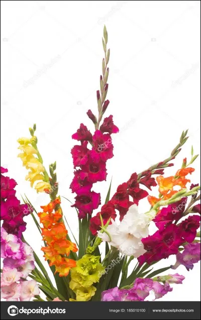 Quelle couleur préfères-tu ?