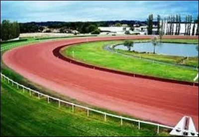 Quels animaux voit-on dans un hippodrome ?