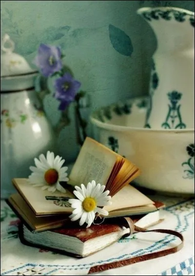 Qui est l'&eacute;crivain du livre "Le Grand Meaulnes" ?