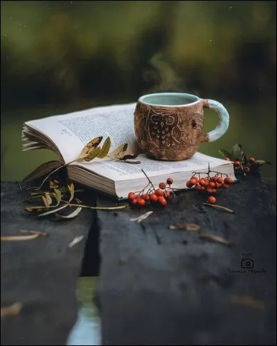 Qui a &eacute;crit "La Soupe aux cailloux" ?