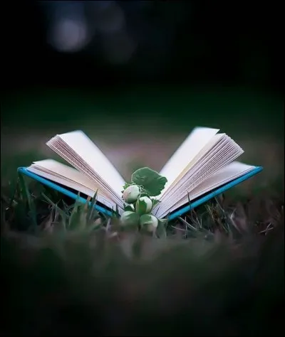 &Agrave; qui doit-on le plaisir de lire "sain-Antonio chez les gones" ?