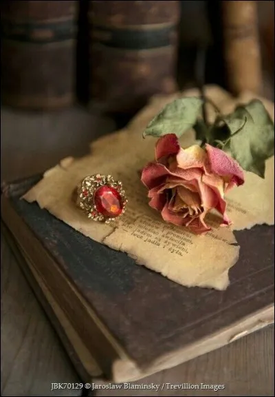 Qui a &eacute;crit "Climats" ?