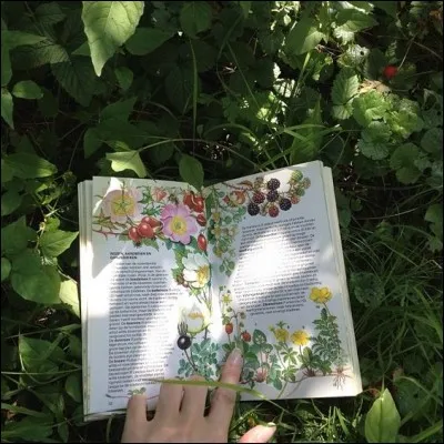 Qui est l'écrivain de "L'Huile sur le feu" ?