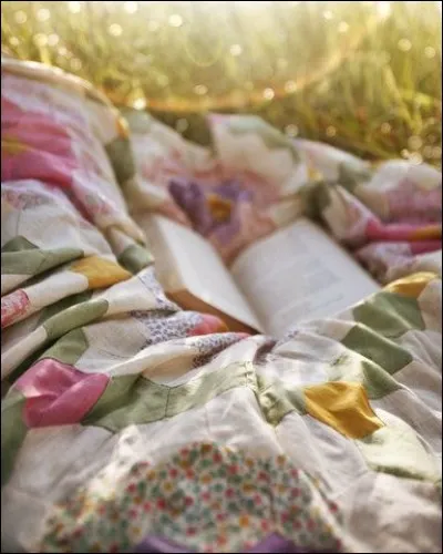 Qui a écrit "Le Mas Theotime" ?