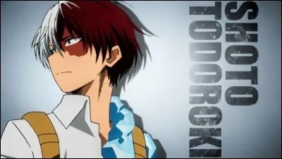 Combien de frères a Shoto Todoroki ?