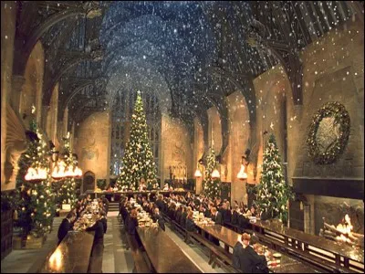 Ta matière préférée à Poudlard ça sera :