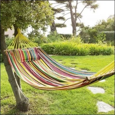 Sur cette photo, nous pouvons observer un...