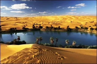 Présence d'eau et de végétation dans le désert, c'est l'...