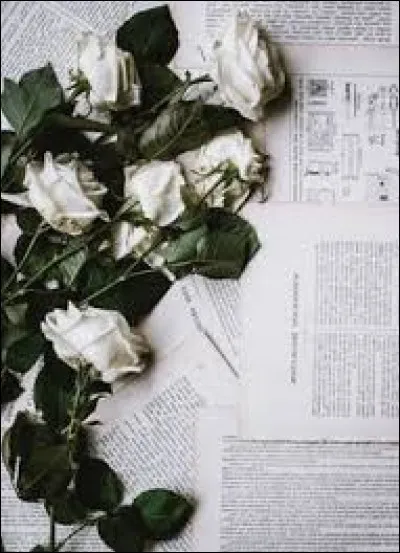 Qui est l'auteur des vers "C'était dans la nuit brune, sur le clocher jauni, la lune comme un point sur i"