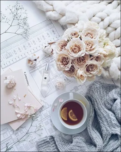 Qui a écrit "Le Bateau ivre" ?