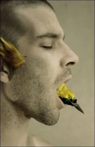 Oiseau mythique de bon augure des légendes grecques. Qui est-il ?