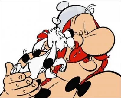 Quelles sont les couleurs des braies d'Oblix ?