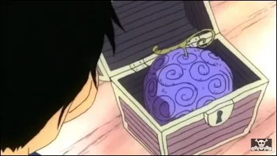 Quel fruit a mangé Luffy ?