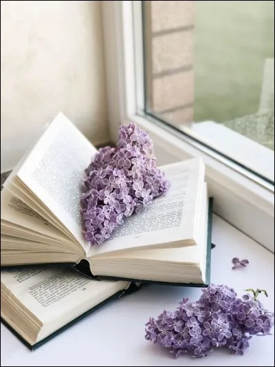 À qui appartiennent les vers "Lorsque tu seras vieux et que je serai vieille, lorsque mes cheveux blonds seront des cheveux blancs" ?