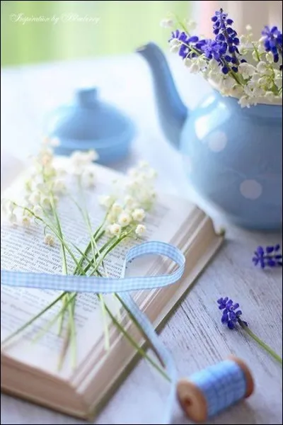 Quel recueil n'appartient pas à Victor Hugo ?