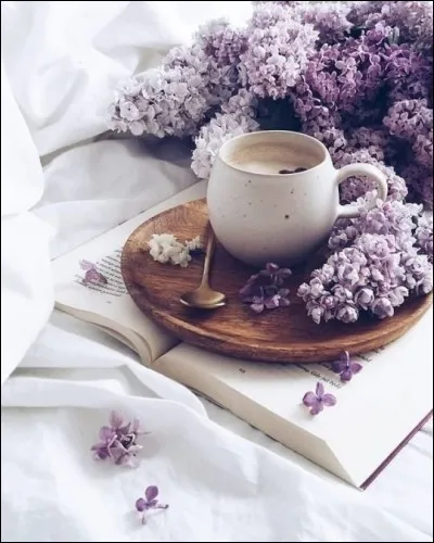 De qui est le célèbre vers "Il a deux trous rouges au côté droit" ?